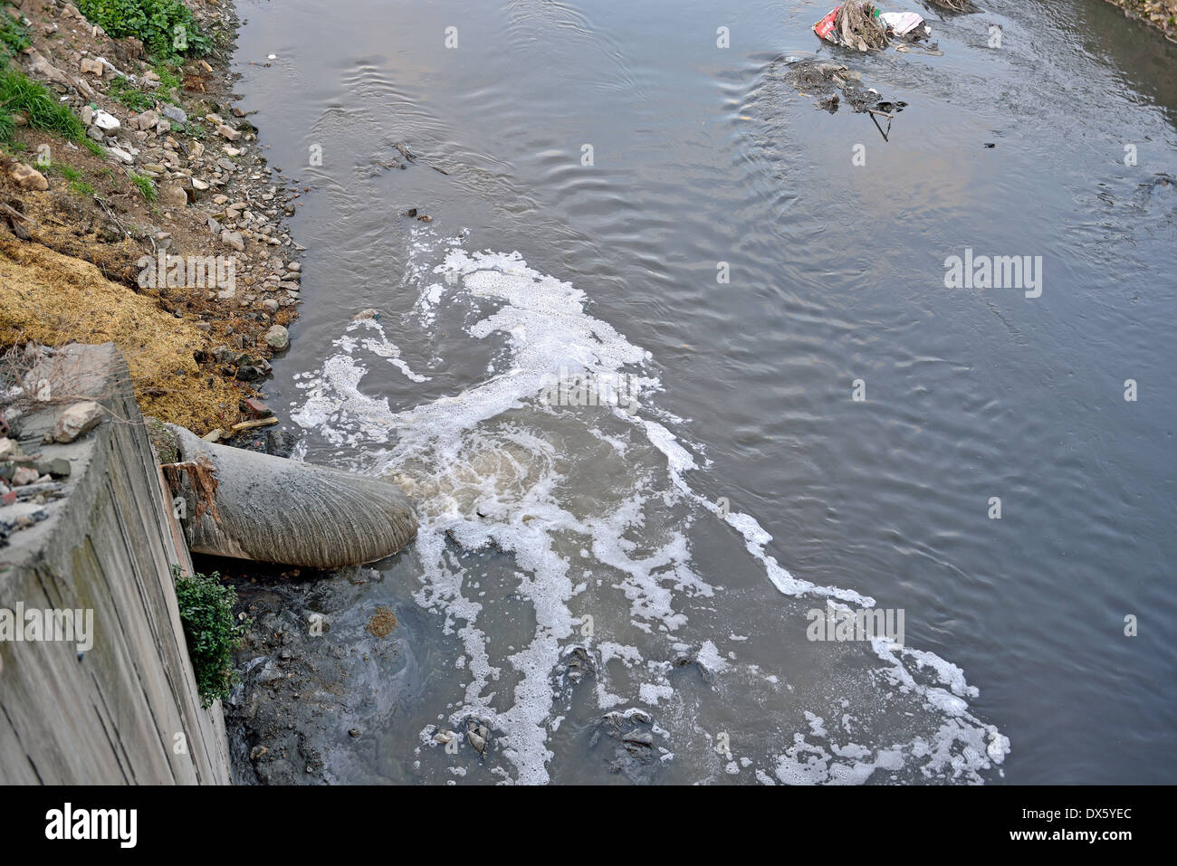 involved in river polluted wastewater chemicals involved. Stock Photo