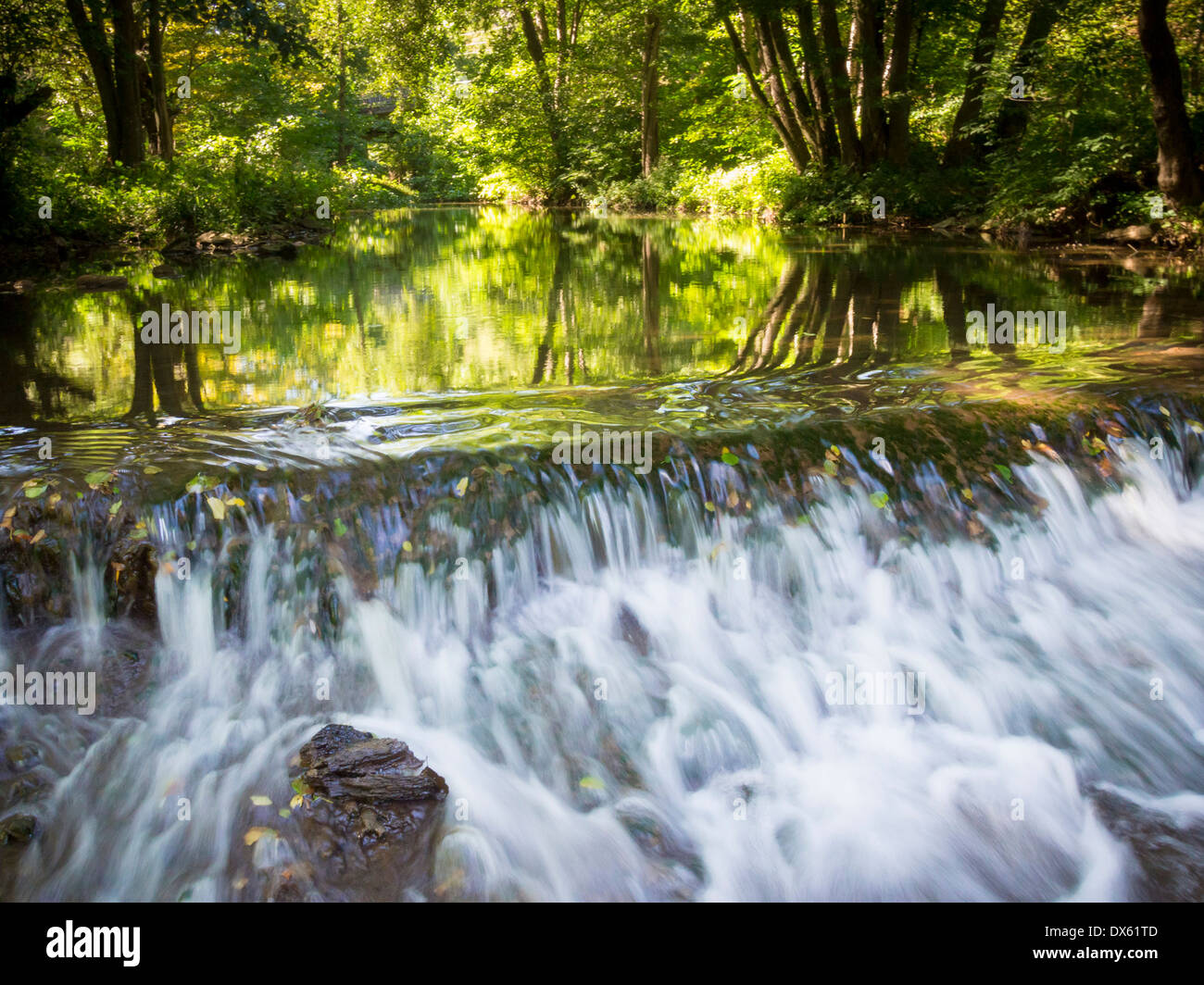 Pristine forests hi-res stock photography and images - Alamy