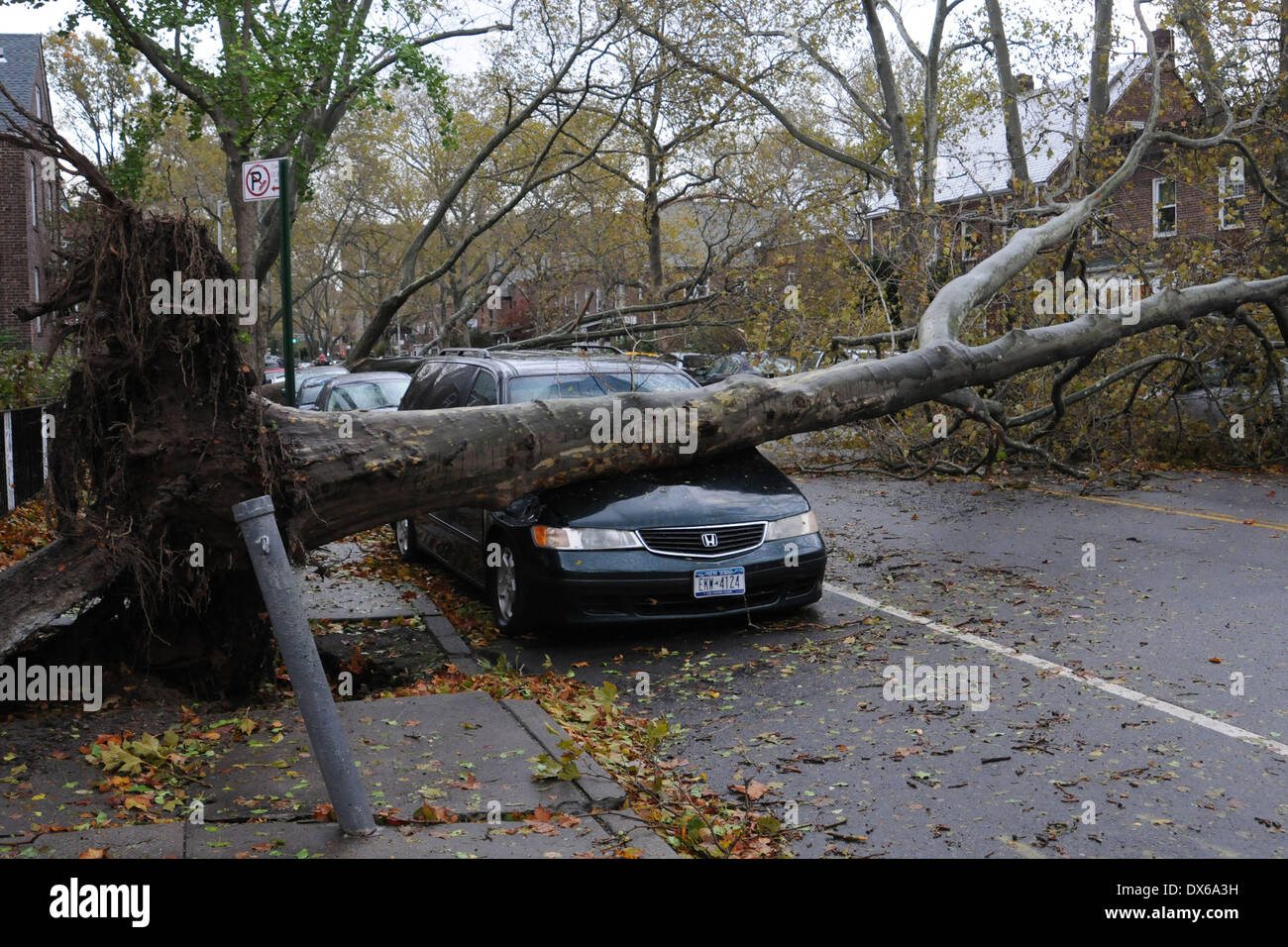 Residents in the borough of Queens, New York City, have awoken to the ...