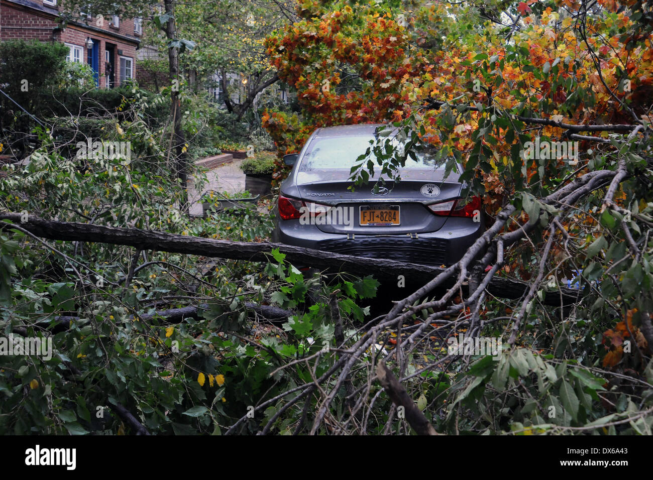 Residents in the borough of Queens, New York City, have awoken to the ...