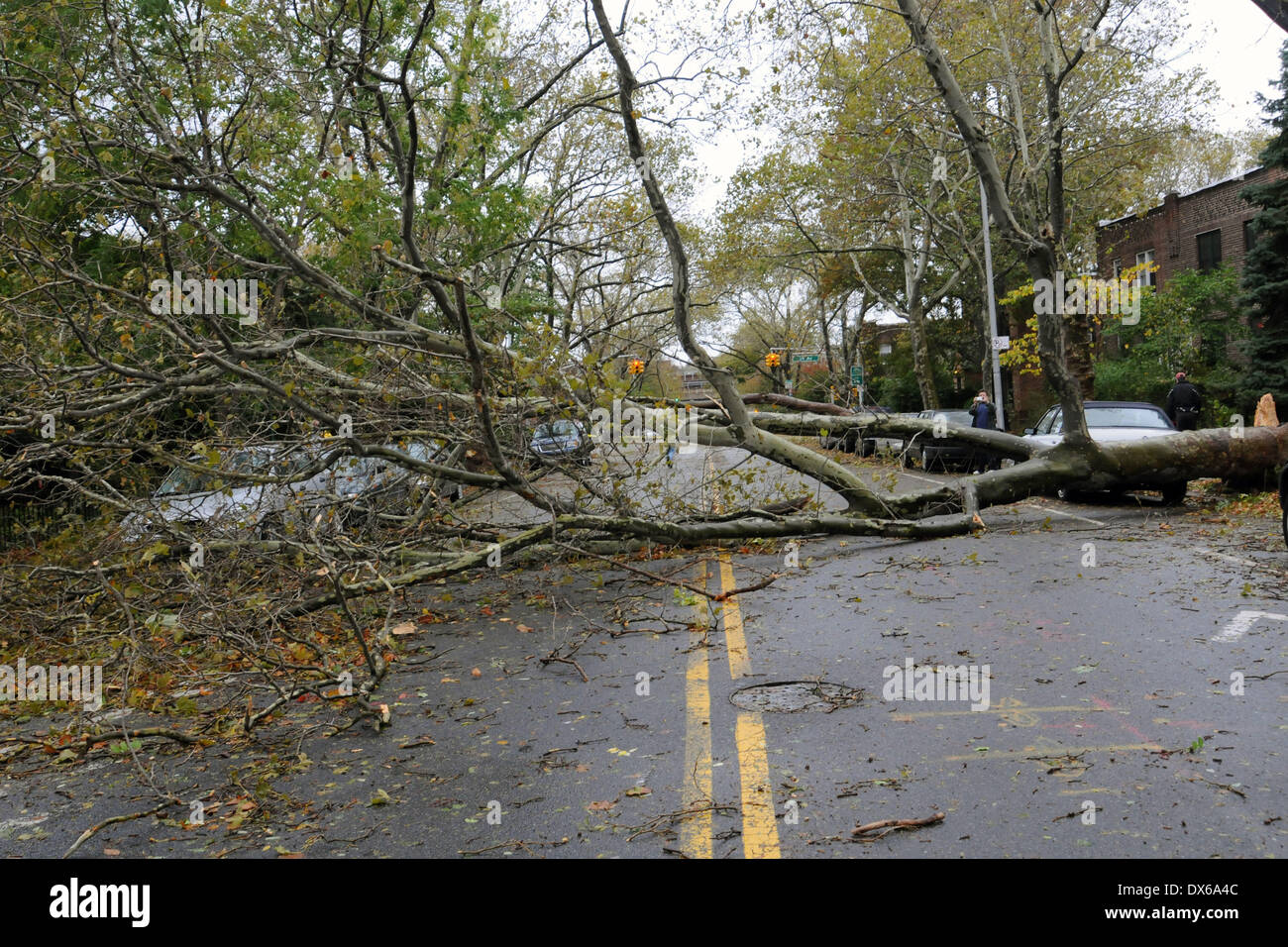 Residents in the borough of Queens, New York City, have awoken to the ...