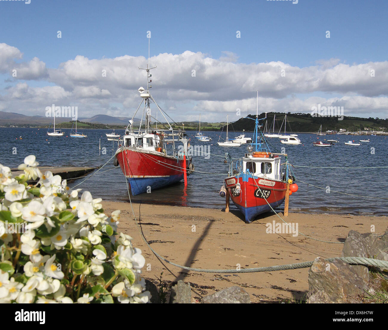 Fishing boats at Bantry County Cork Ireland Stock Photo Alamy