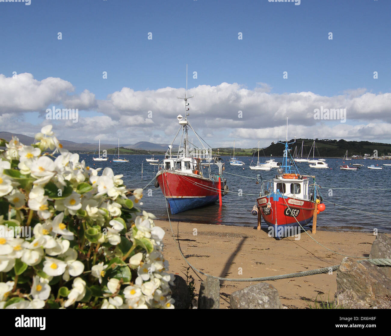 Fishing boats at Bantry County Cork Ireland Stock Photo Alamy
