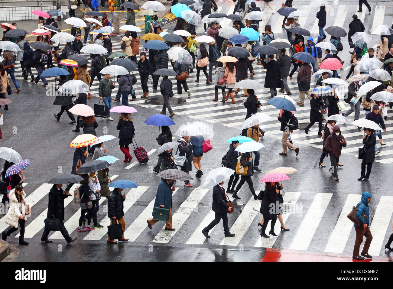 People carrying umbrellas in the rain walking across the pedestrian