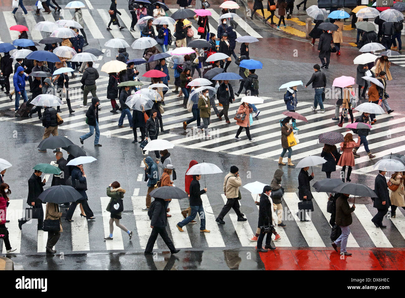 People Crossing A Crossroad On A Rainy Day In Tokyo, Japan, Stock Photo,  Picture And Royalty Free Image. Pic. ALF-133201605