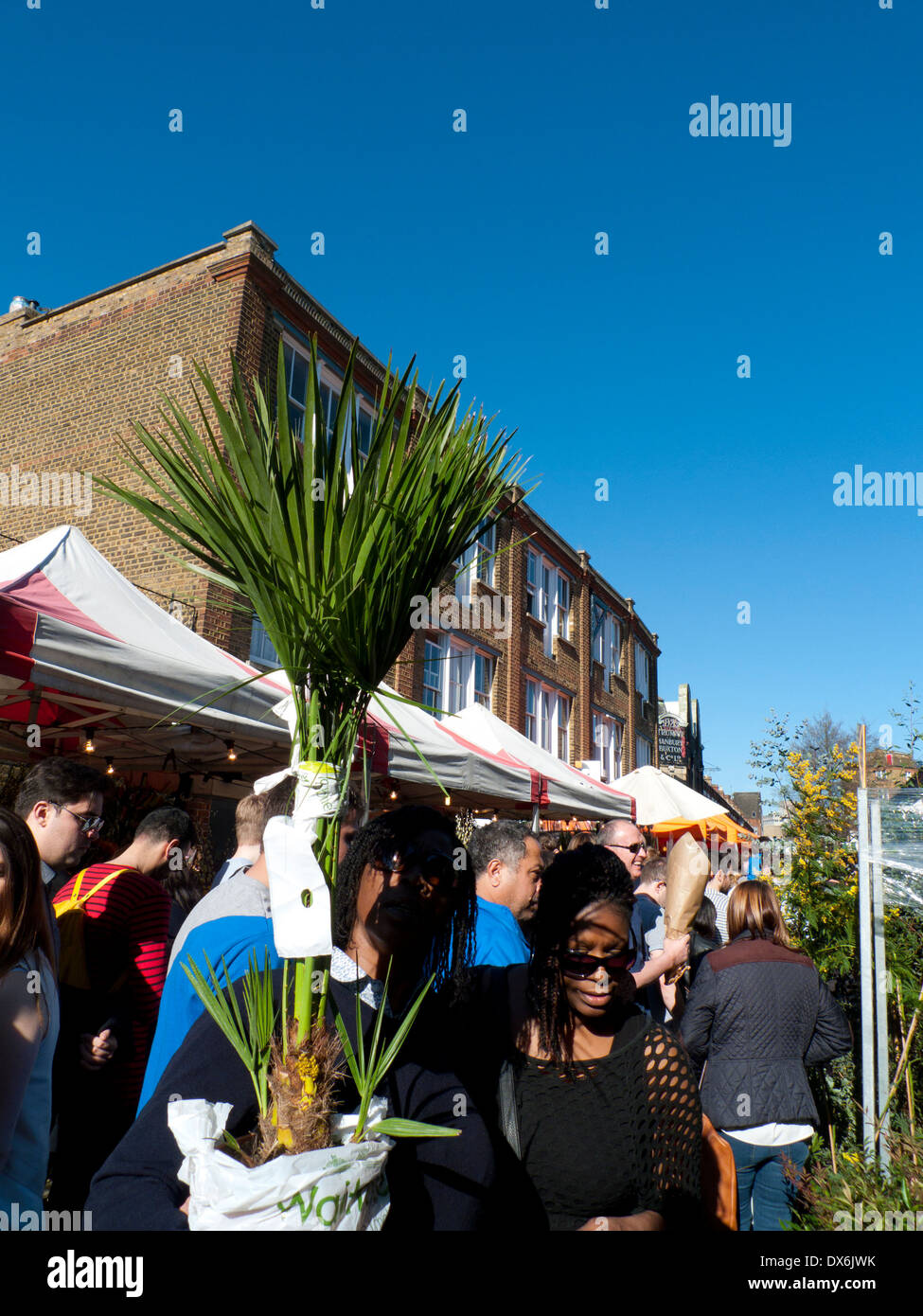 Woman carrying a palm plant in the street in Columbia Road Flower Market on a spring day blue sky London E2 UK  KATHY DEWITT Stock Photo