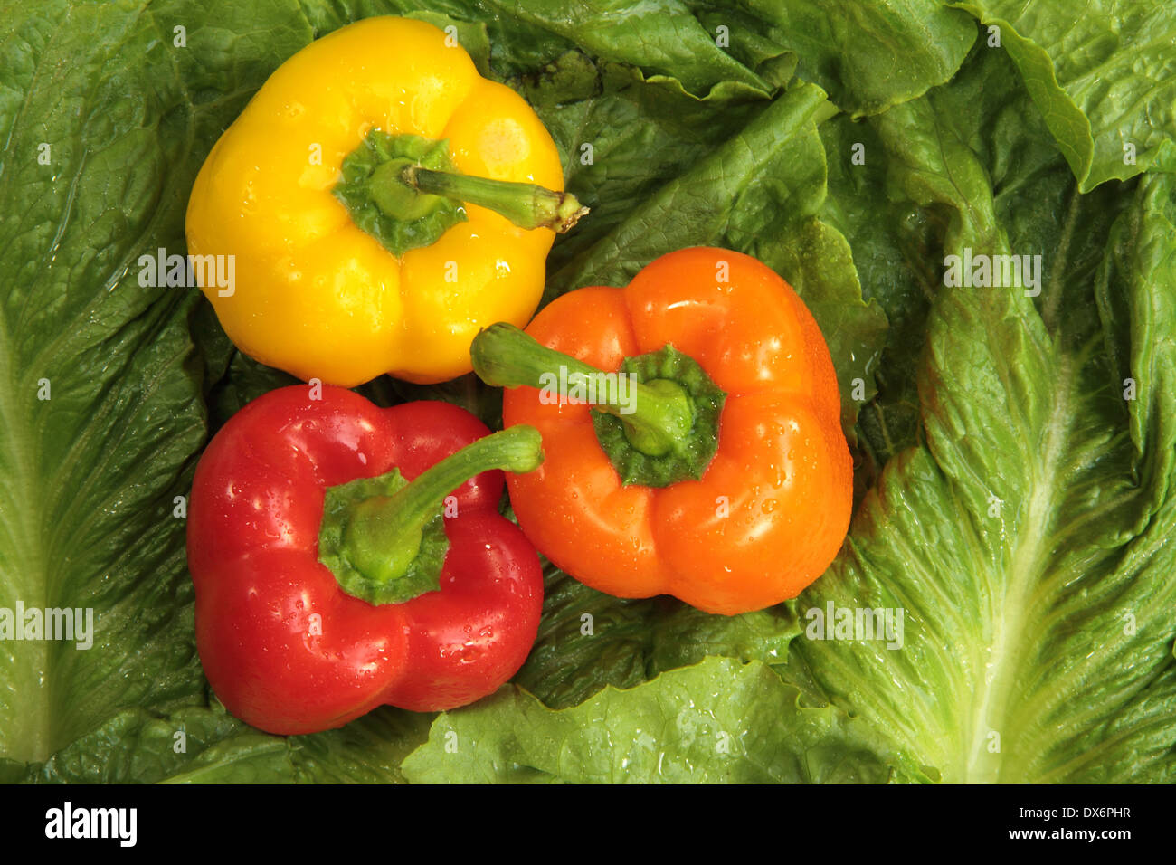 Bell peppers in garden hi-res stock photography and images - Alamy