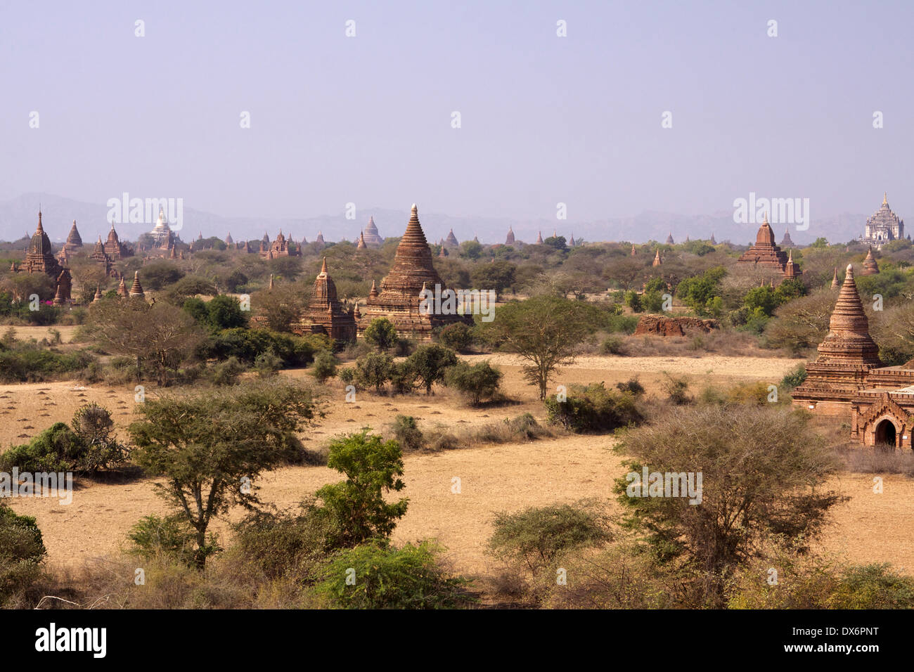 View across the temples on the plains of Bagan, viewed from the Buledi temple Stock Photo