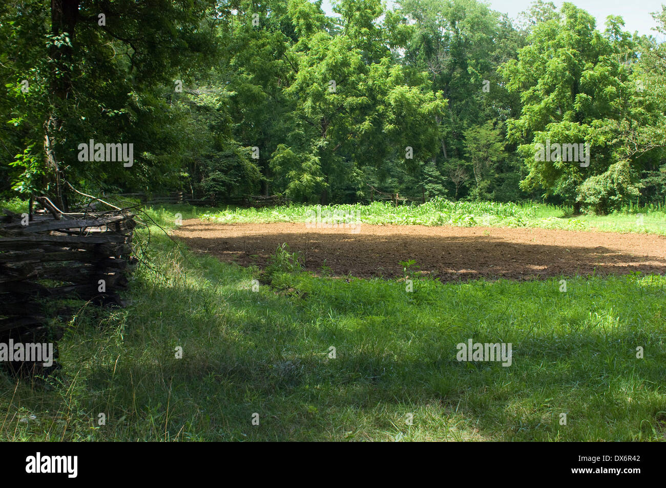 Hand plowed pioneer farm field, Lincoln Boyhood National Memorial, Indiana. Digital photograph Stock Photo
