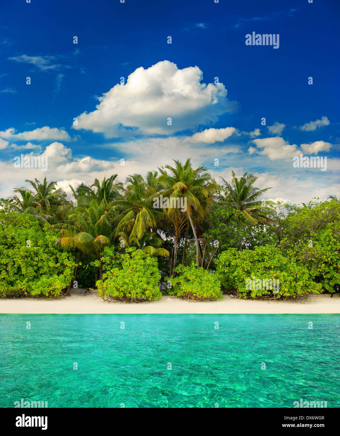 landscape of tropical island beach with palm trees and cloudy blue sky. view from water. travel destination Stock Photo