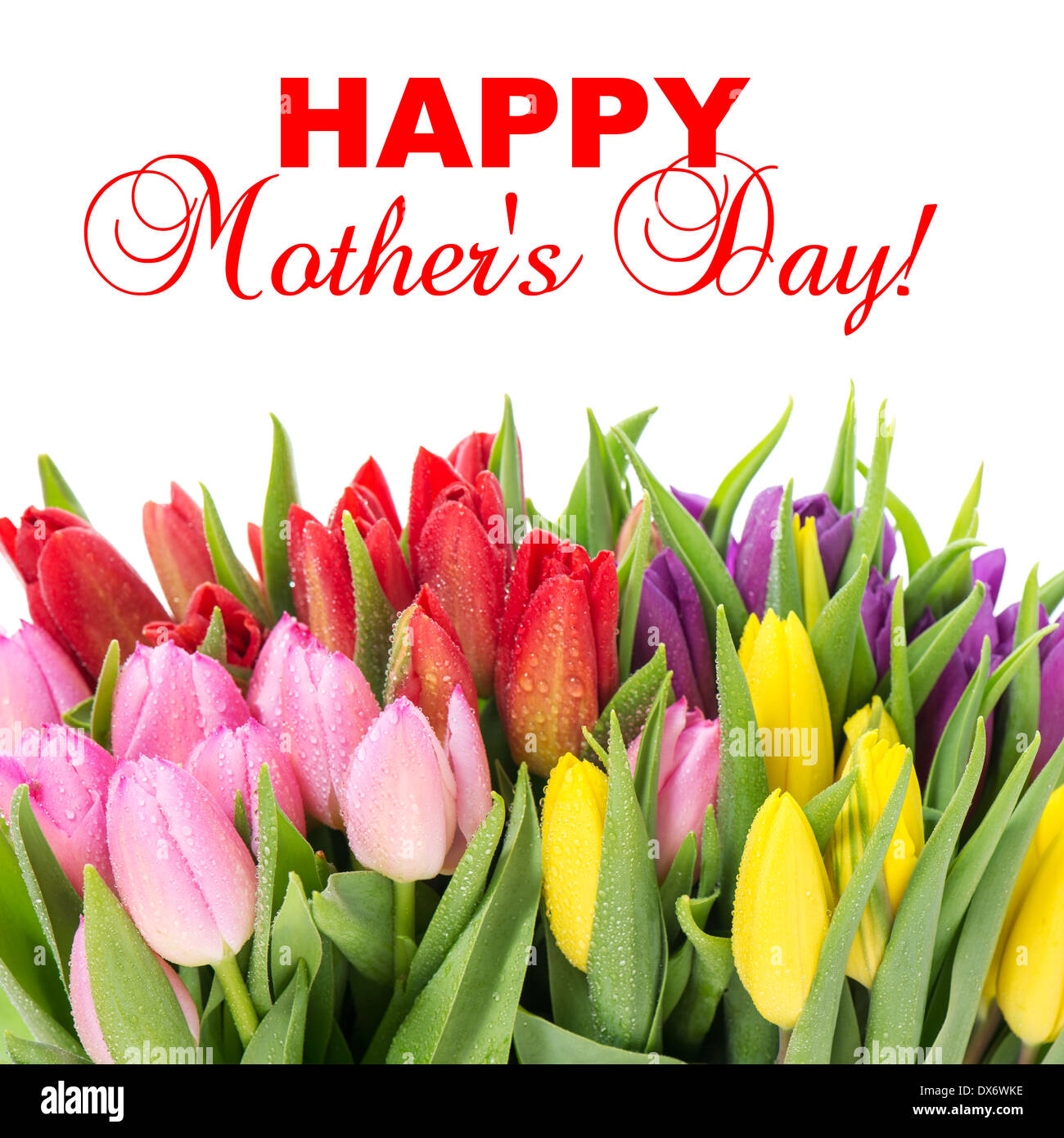 bouquet of multicolor tulips over white background. fresh spring ...