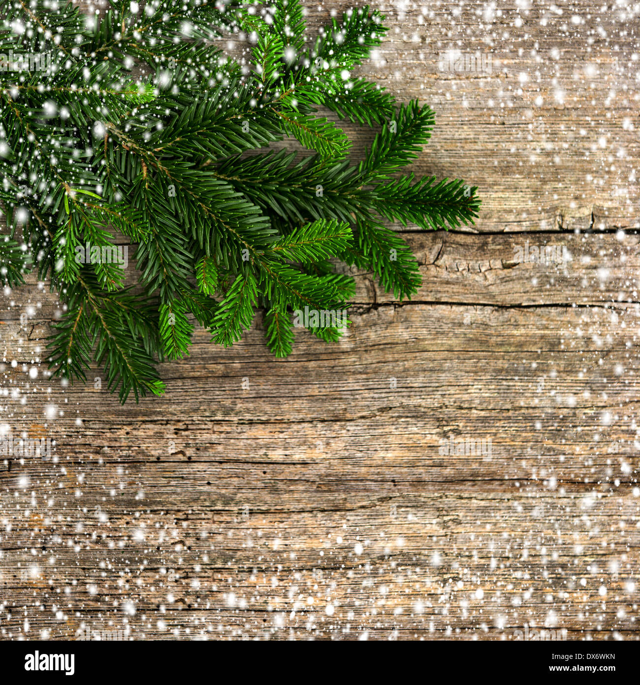 fir tree branch on rustic wooden background. christmas decoration with ...