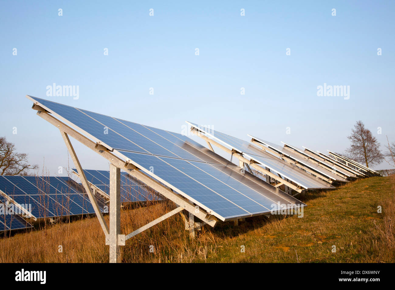 Solar array of photovoltaic panels in countryside at Bromeswell, Suffolk, England Stock Photo