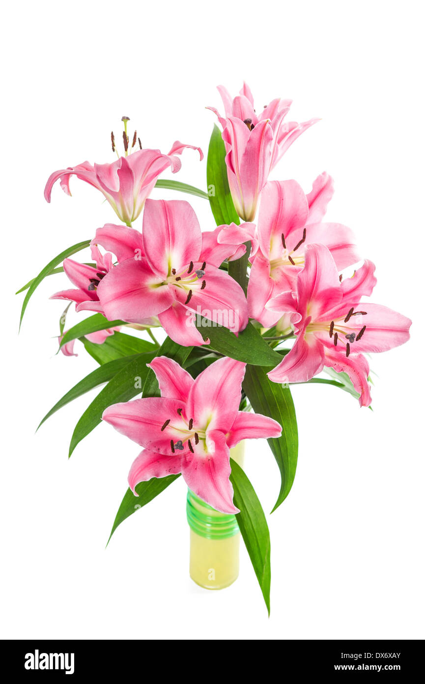 bouquet of fresh pink lily flowers isolated on white background Stock ...