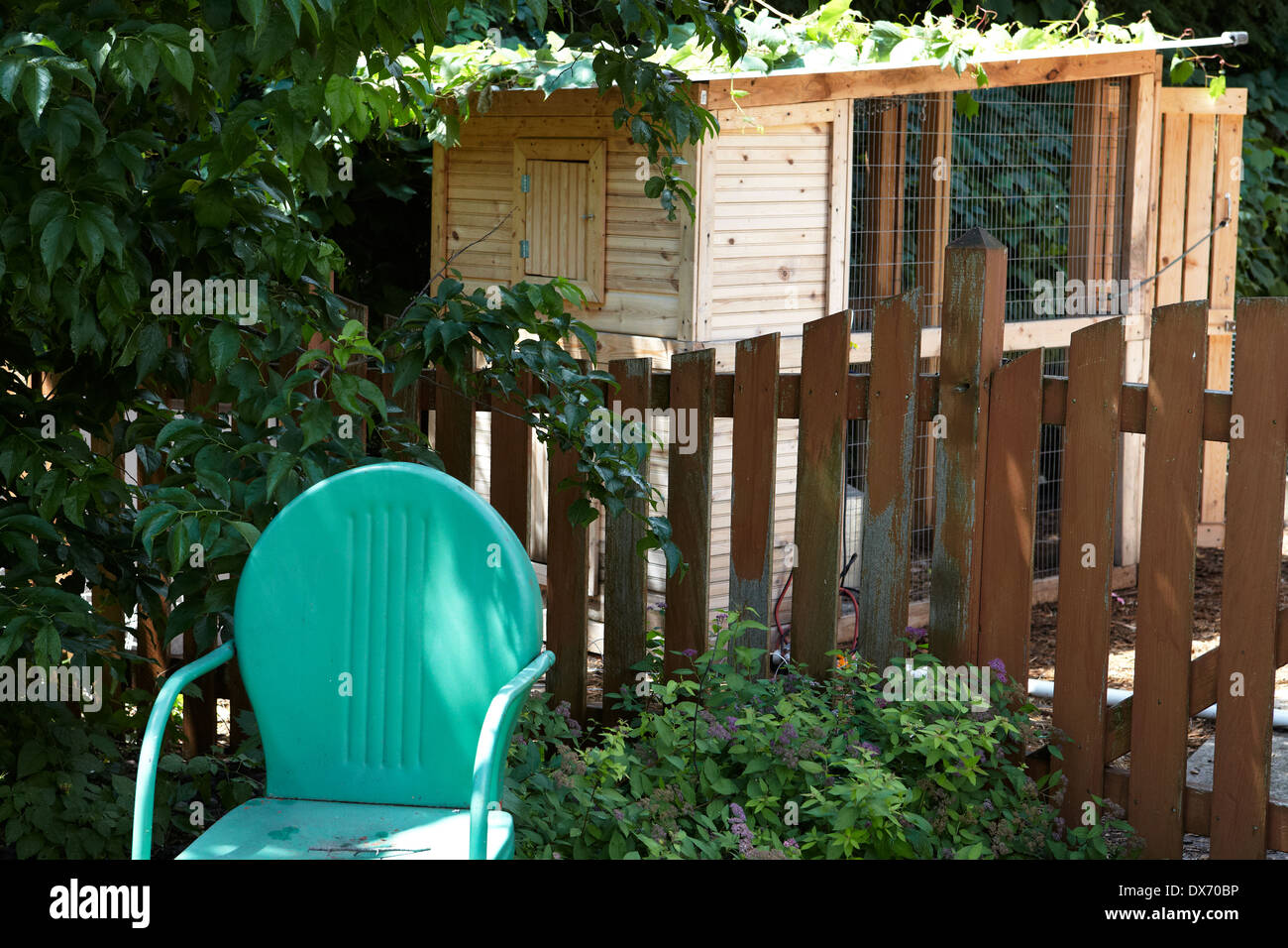 Urban backyard chicken coop Stock Photo Alamy
