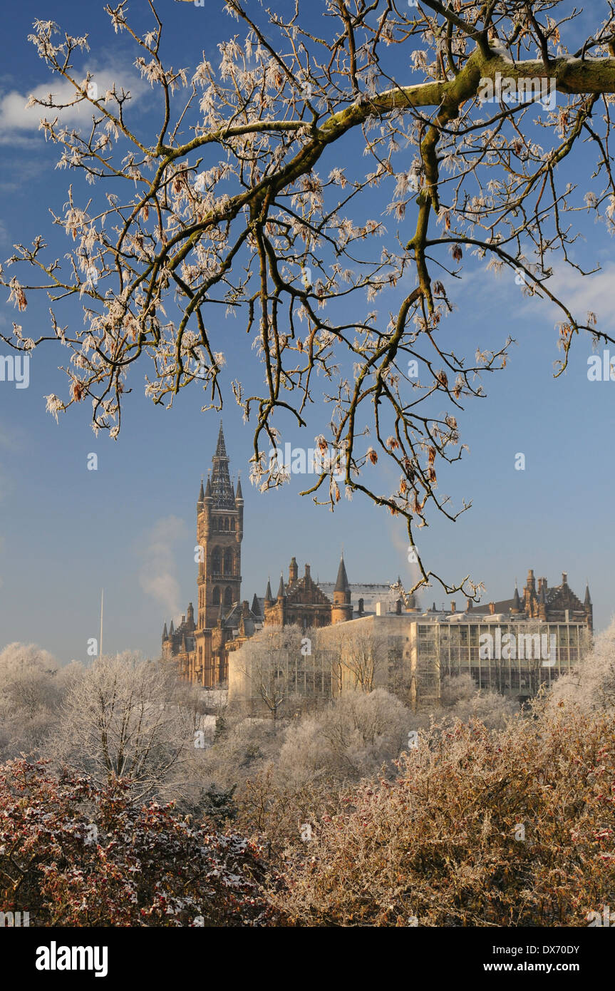 Frosty trees with Glasgow University tower. Glasgow. Scotland. Stock Photo