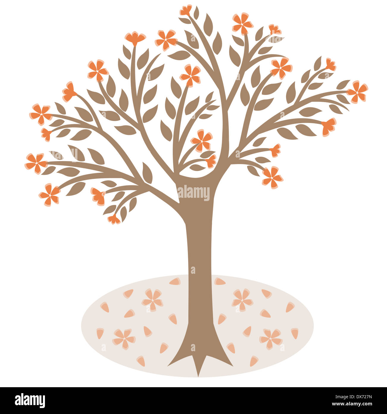 blossoms tree isolated on white background Stock Photo - Alamy