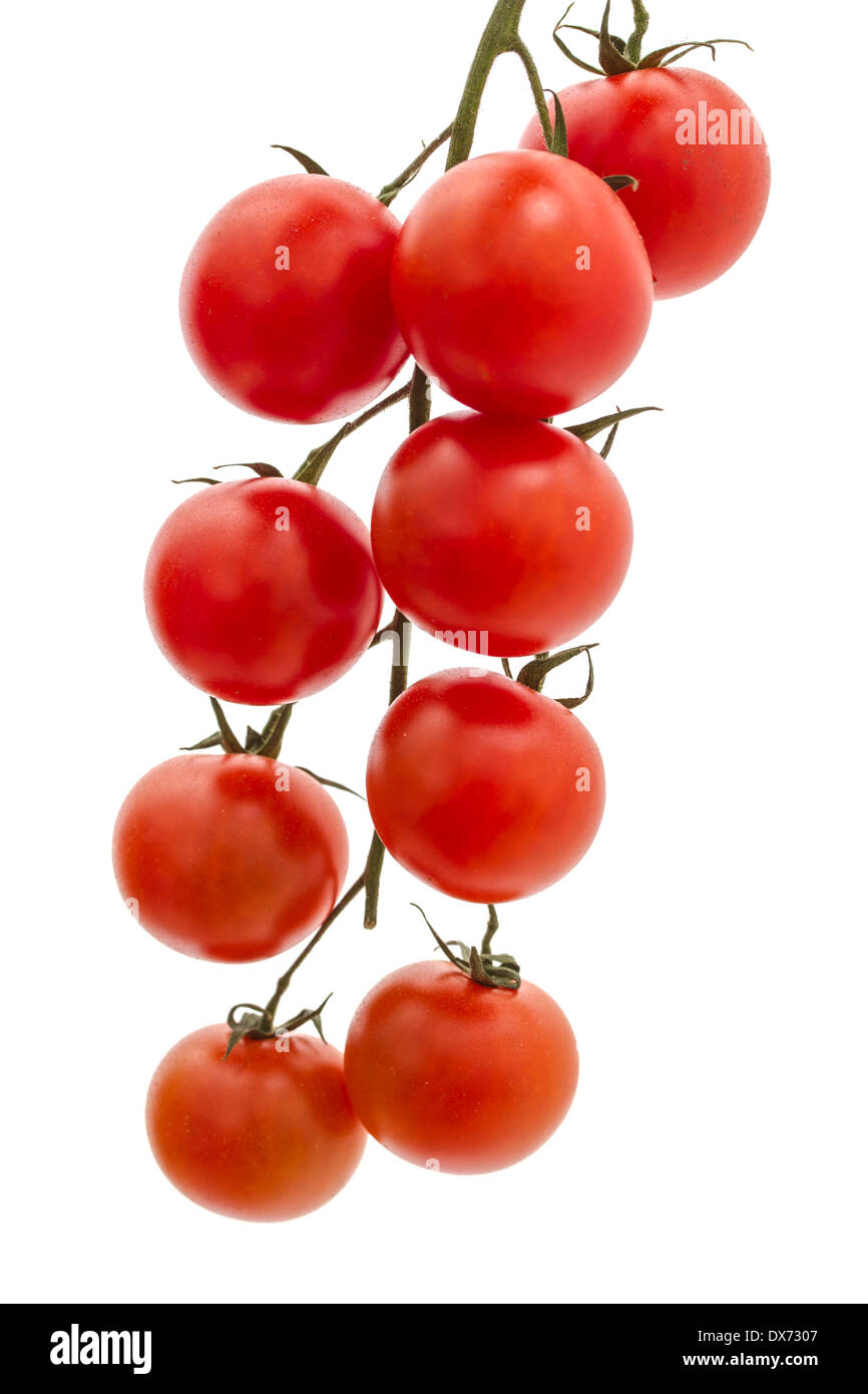 Eco tomatoes on white background Stock Photo