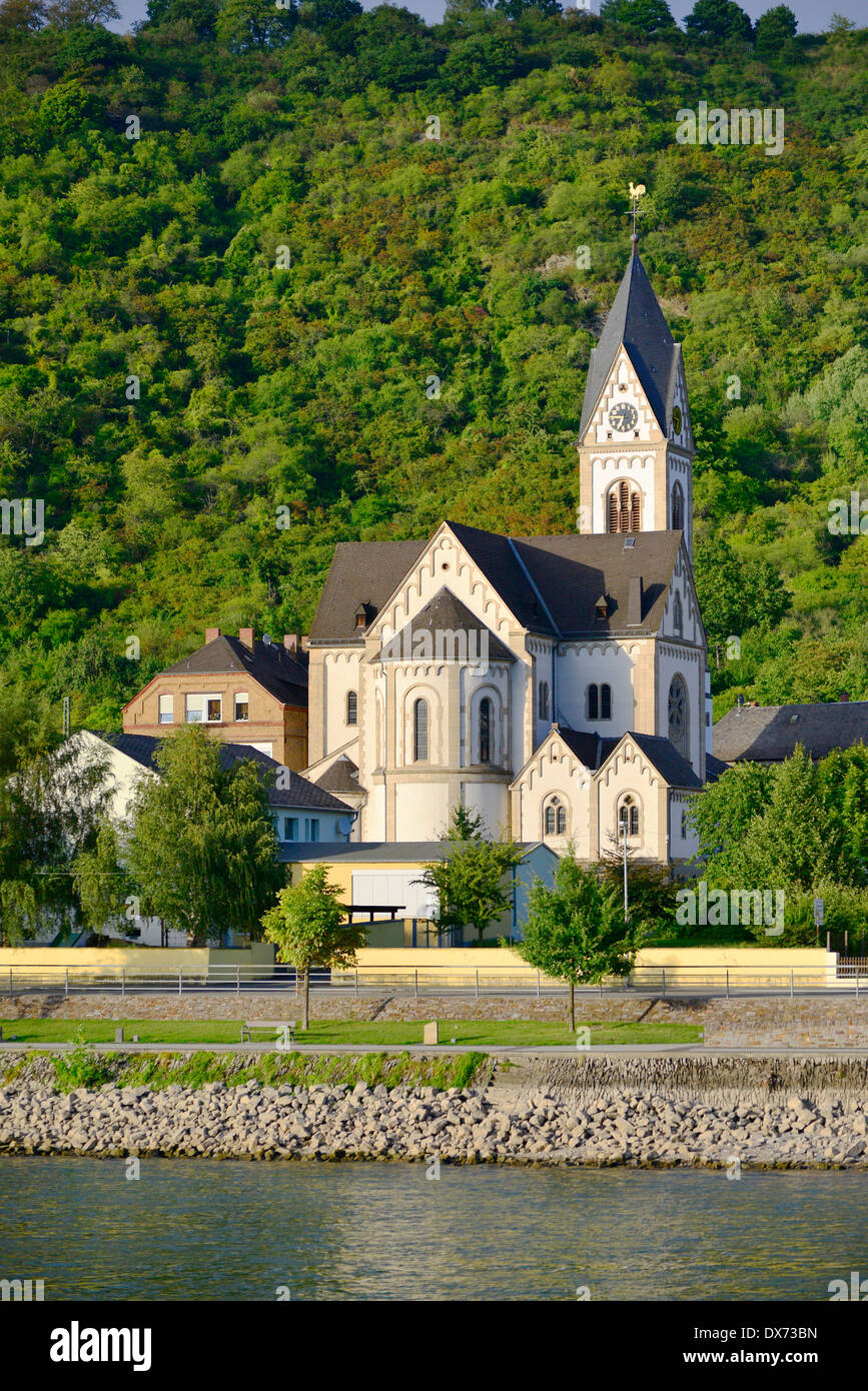 Rhine River Valley Kamp Bornhofen Germany Europe Vineyards Wineries