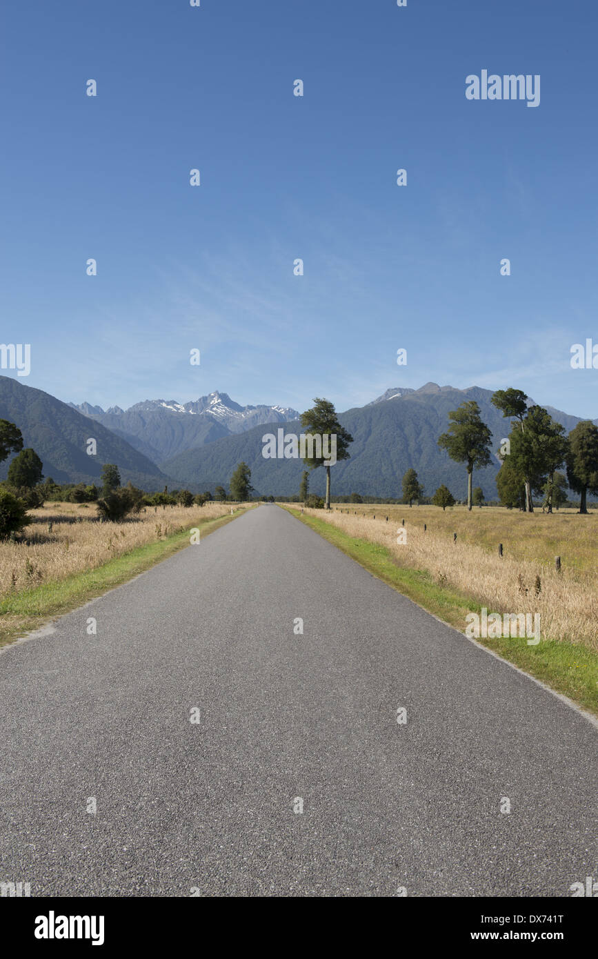 View of Mount Cook by Fox Glacier Stock Photo Alamy