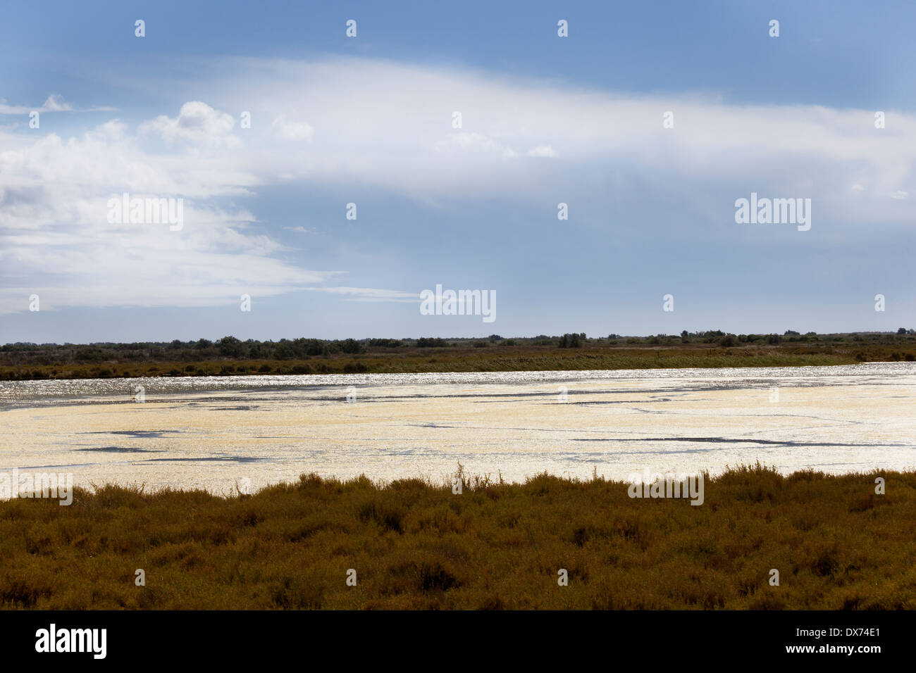 world heritage site Camargue in the south of France Stock Photo