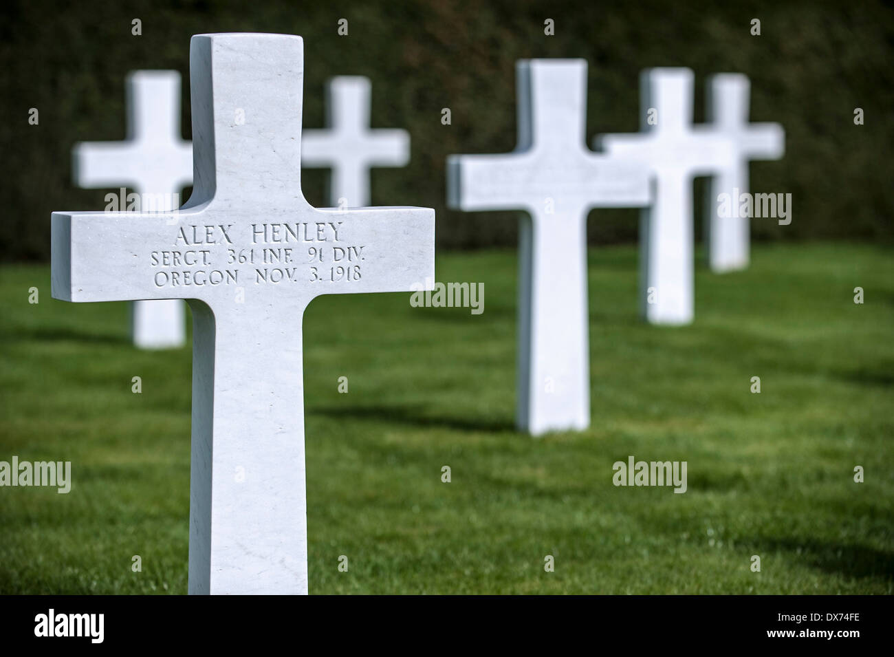 Crosses at Flanders Field American Cemetery and Memorial at Waregem