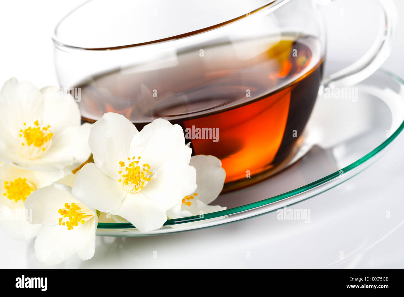Jasmine tea with jasmine herb flower on white background Stock Photo Alamy