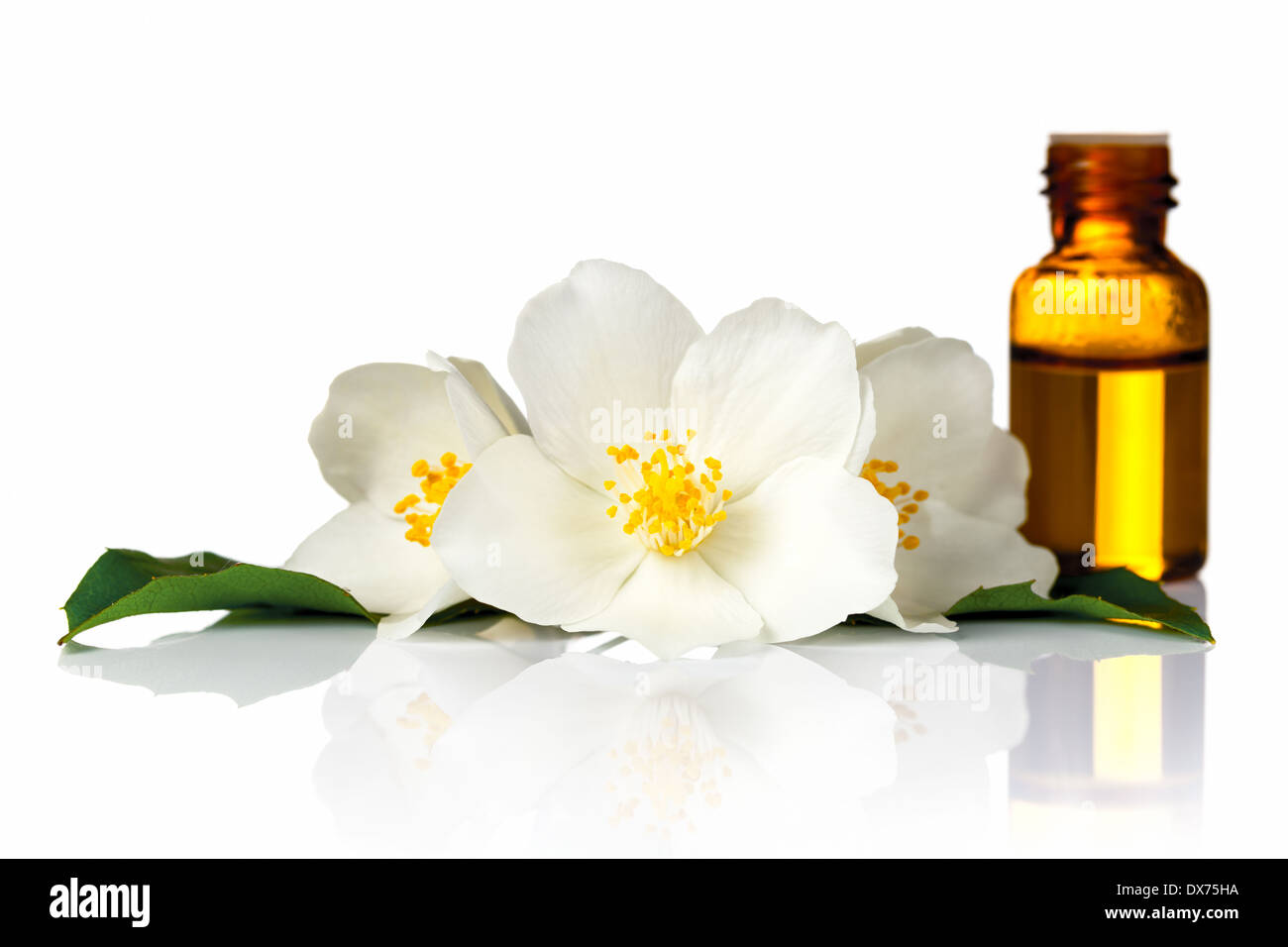 Jasmine flowers with essential oil on white background Stock Photo