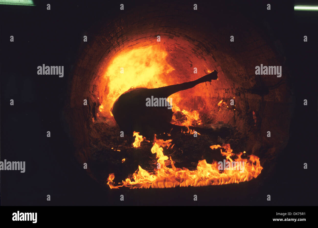 Incineration of cow carcass with suspected BSE, Mad Cow disease. Midlands, United Kingdom Stock Photo