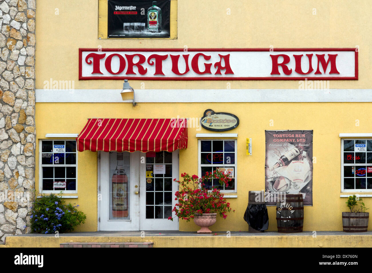 Tortuga rum cake hires stock photography and images Alamy