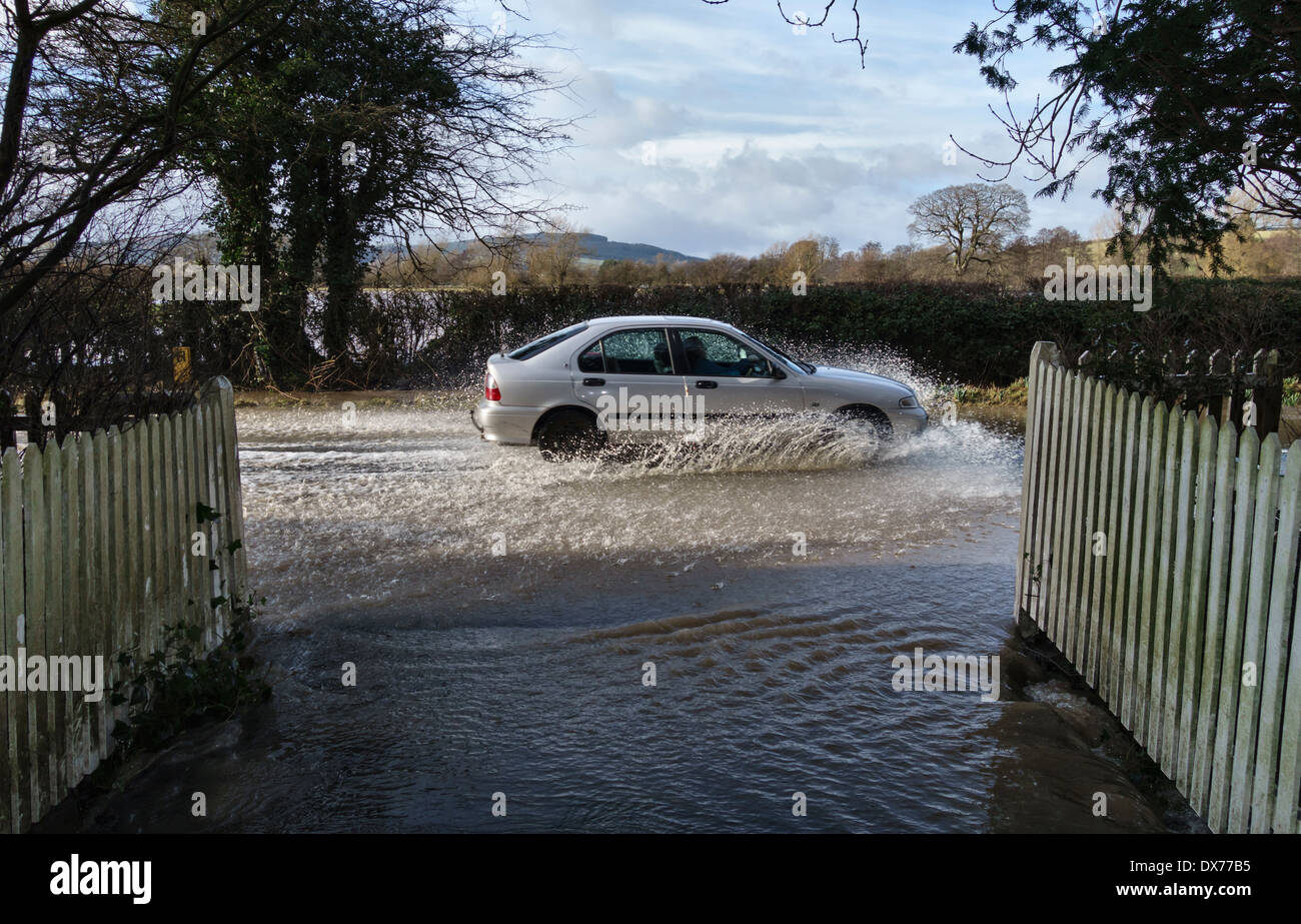 A car driving through floodwater on the A4113 road through the village of Leintwardine, Herefordshire, UK which is regularly flooded by the River Teme Stock Photo