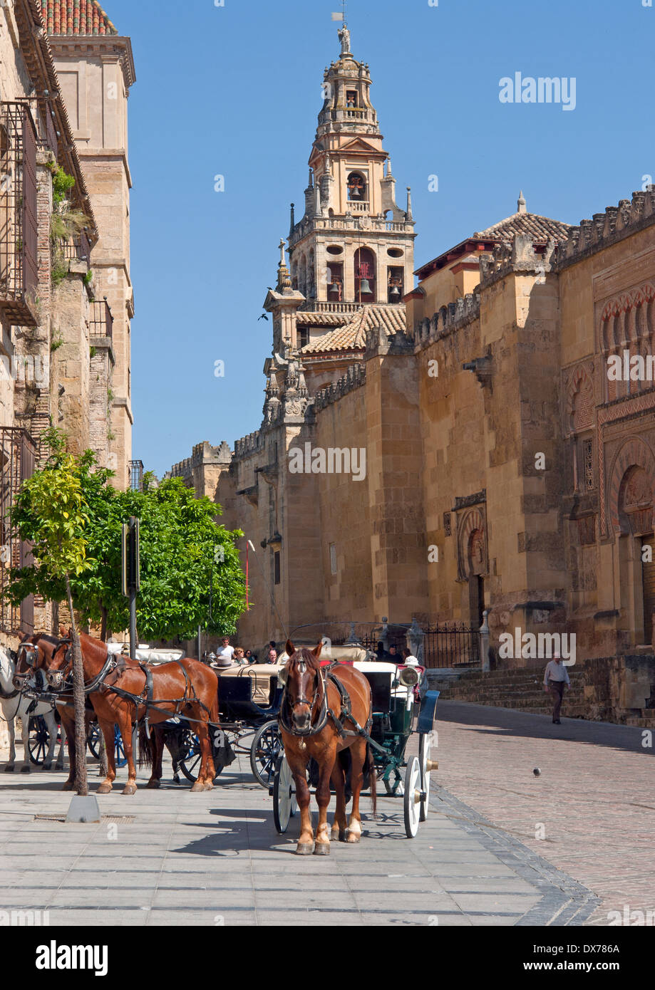 Cordoba, Andalucia,Spain. Tourist horse drawn carriage, with the Torre del Alminar (bell tower) of the Cathedral in background. Stock Photo