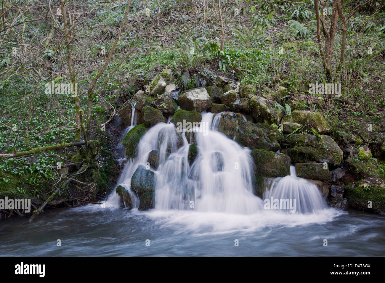 Waterfall at the Old Fussells Iron Works, Mells, Somerset, England, UK Stock Photo