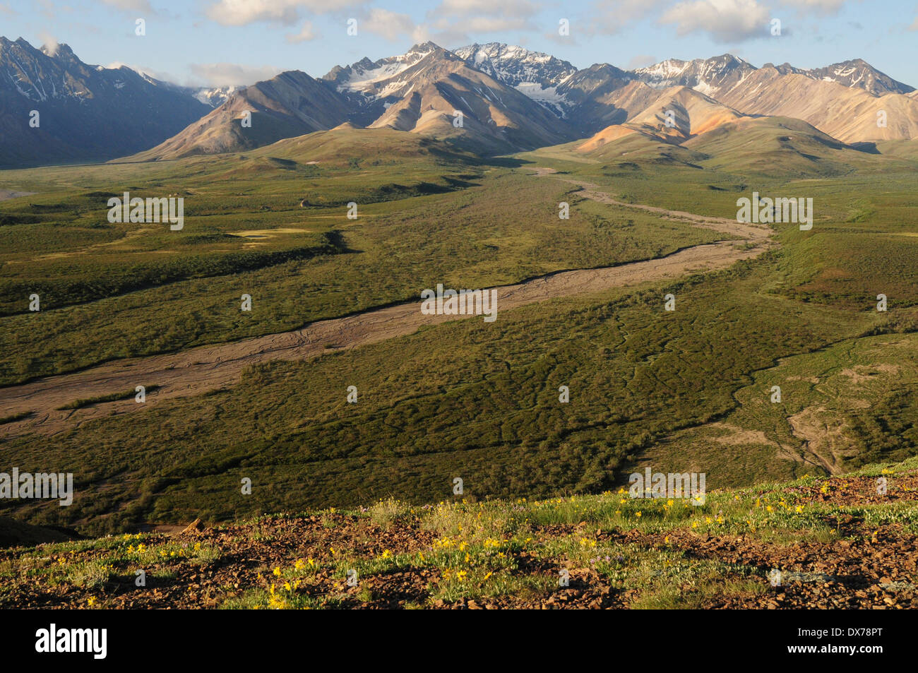 View from Polychrome Pass in Denali National Park Alska Stock Photo