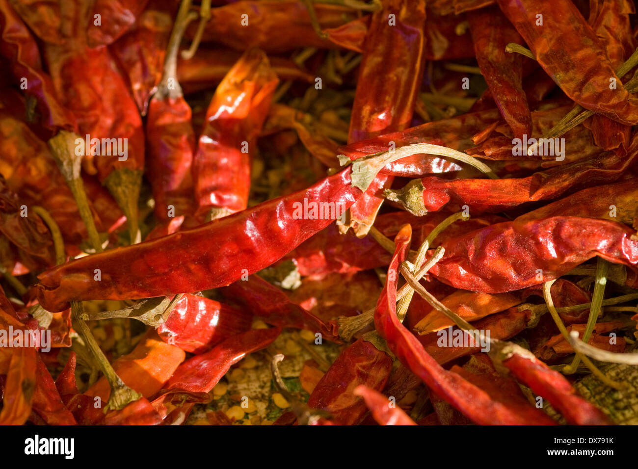 Asia, India, Karnataka, Madikeri, dried red chili peppers Stock Photo