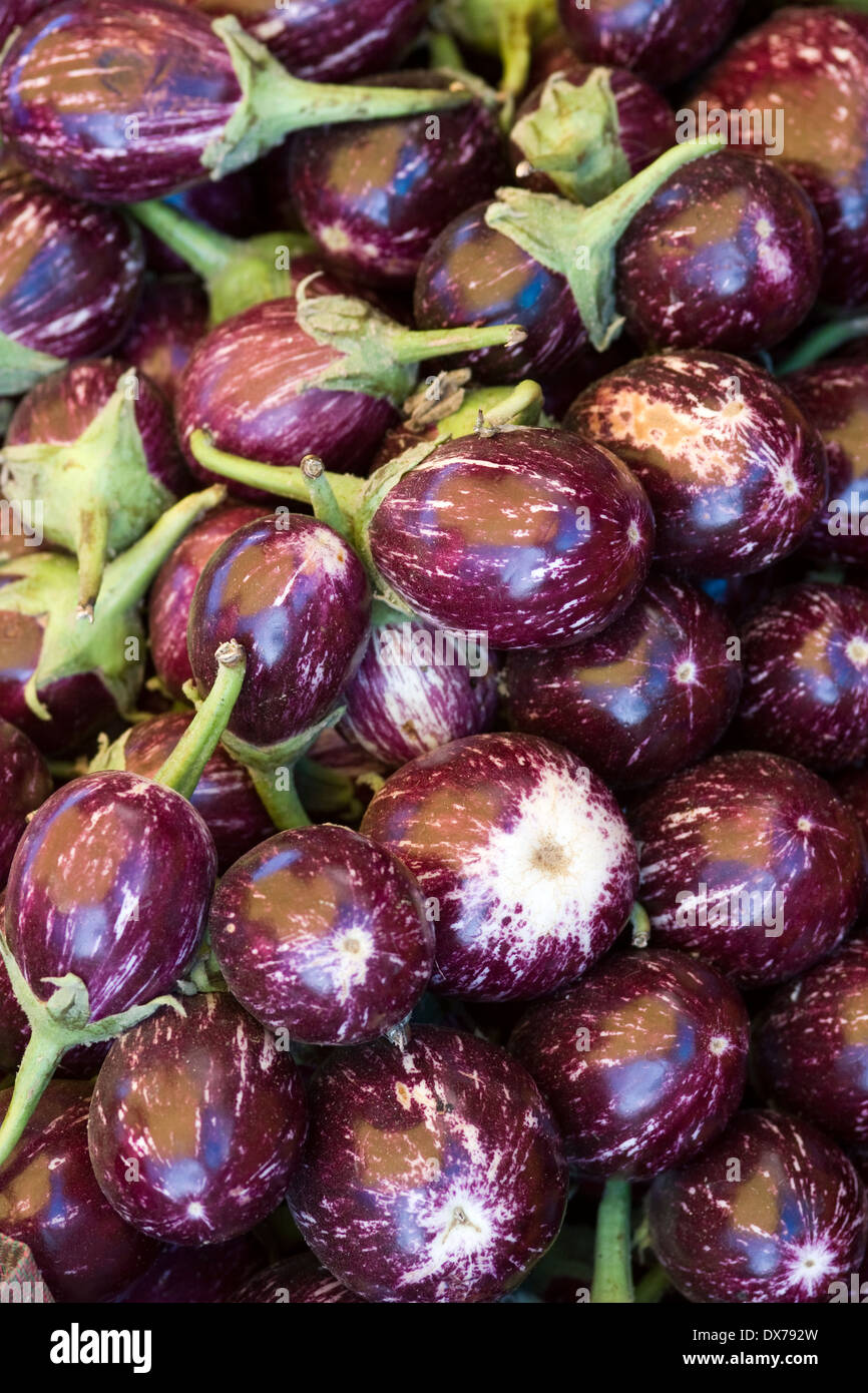 Asia, India, Karnataka, Madikeri, eggplant on the market Stock Photo