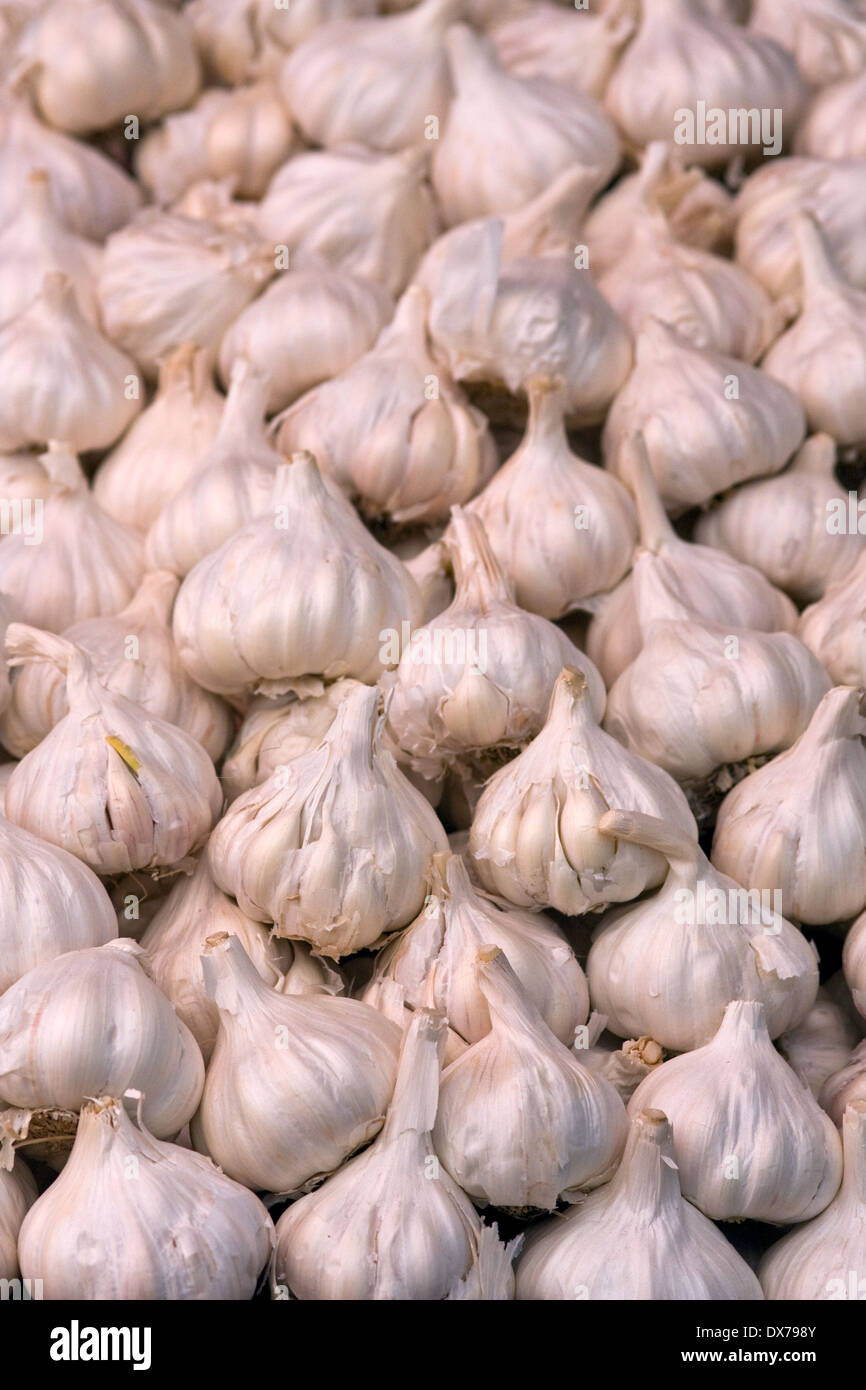 Asia, India, Karnataka, Mysore, Devaraja Market, garlic Stock Photo