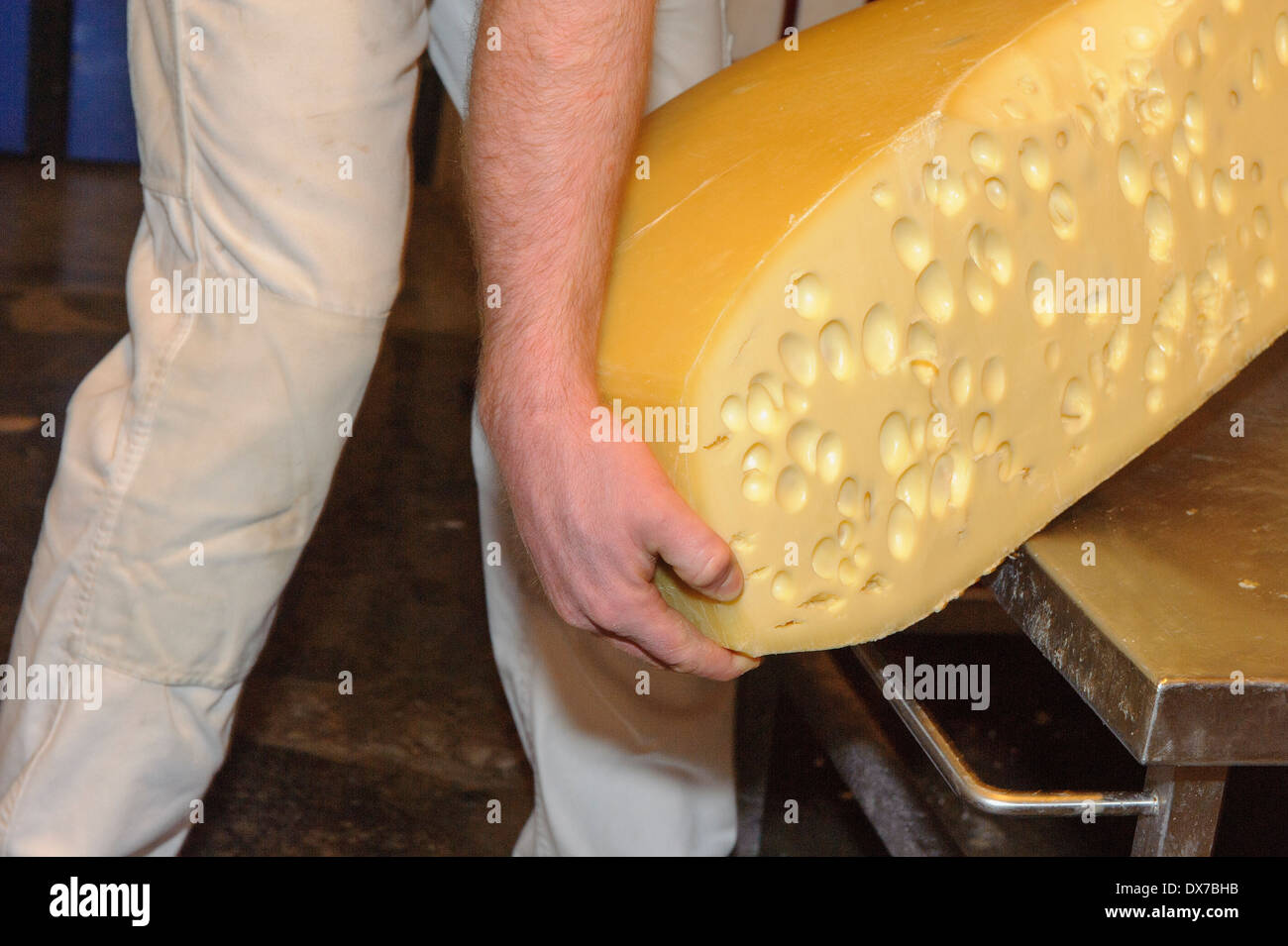 alpine dairy with Emmental cheese in OfterschwangHüttenberg, Allgäu