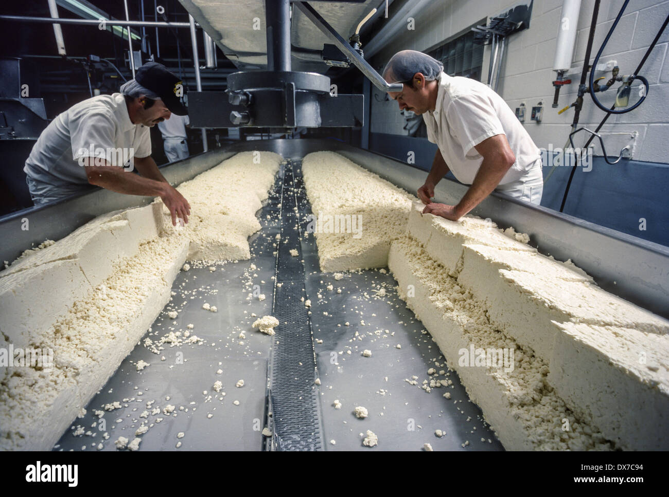Cheese makers work with mozzarella curds on finishing table in cheese plant Stock Photo Alamy
