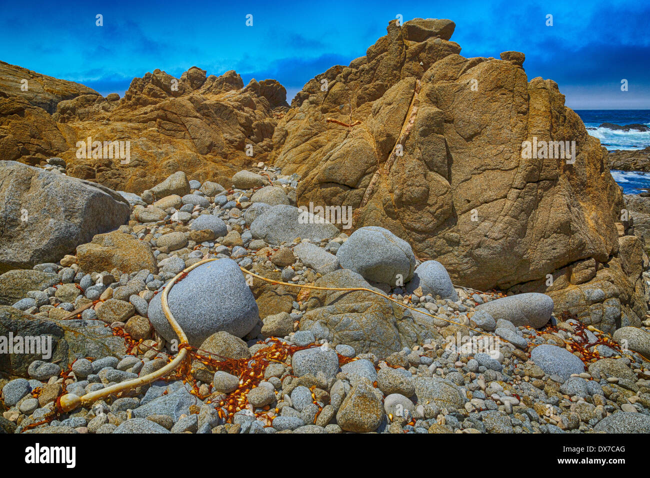 Dried kelp hires stock photography and images Alamy