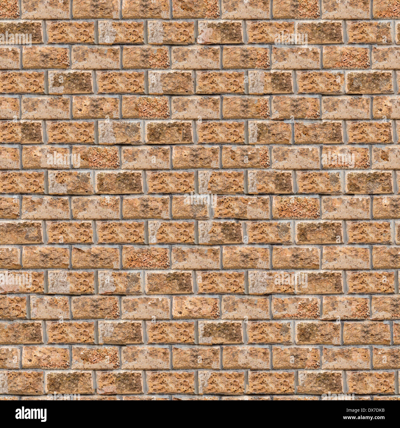 Coquina Wall. Seamless Tileable Texture. Stock Photo