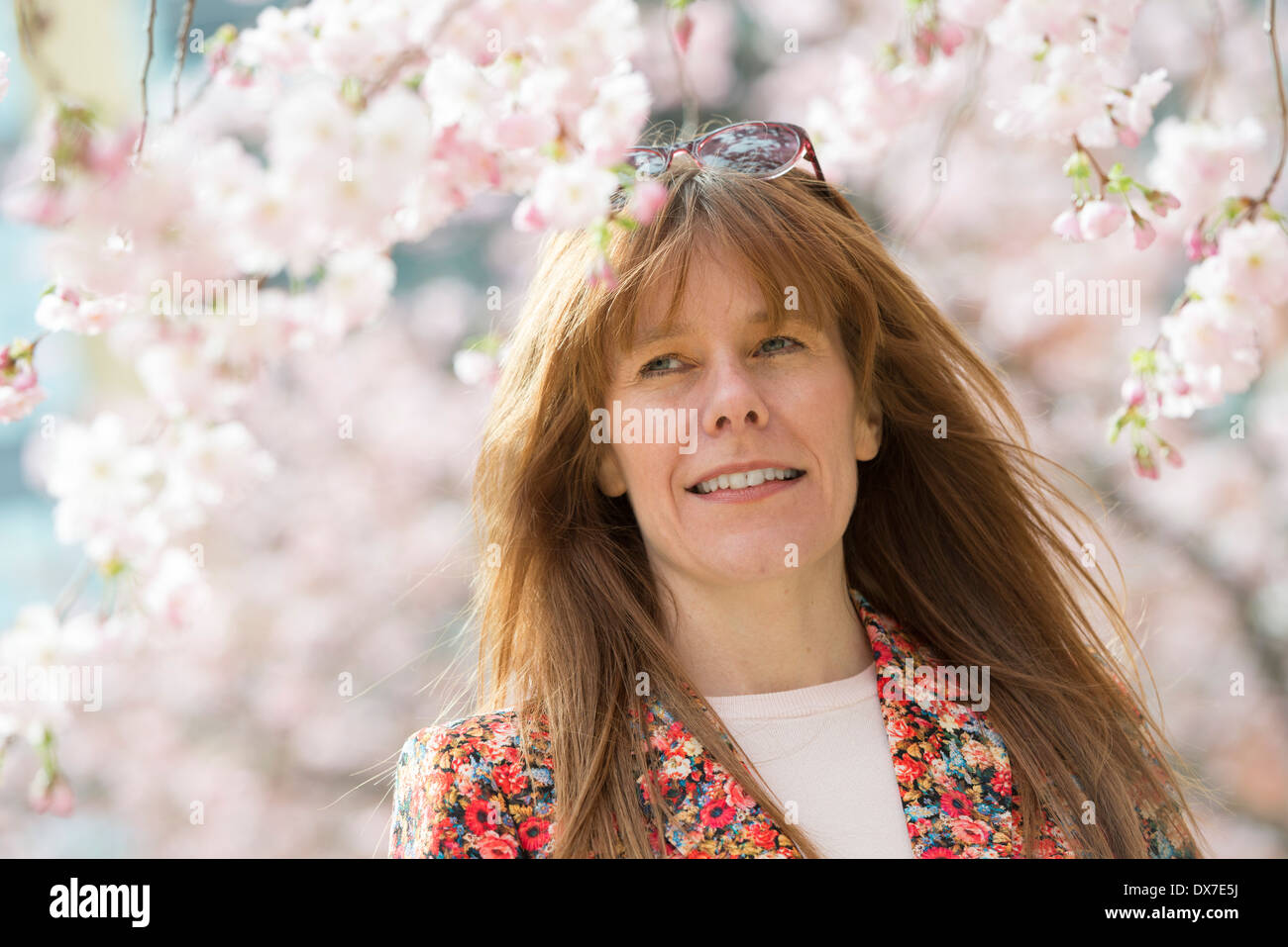A woman with the cherry blossom on the trees in Oozells Square, Brindleyplace, Birmingham. Stock Photo
