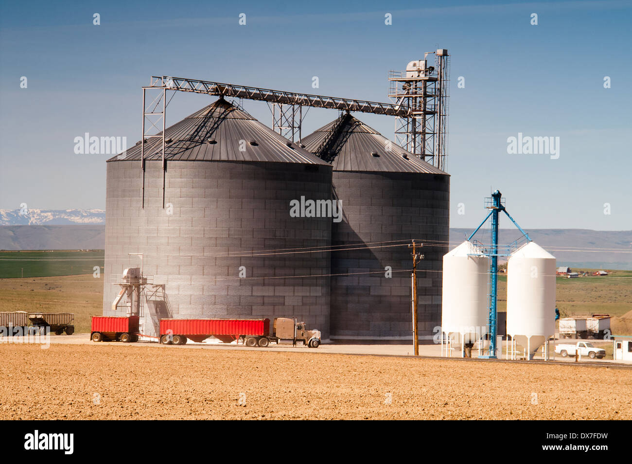 Local agriculture industry loads trucks for shipping Stock Photo