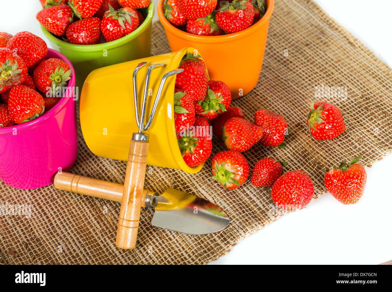 Juicy fresh strawberries in hi-res stock photography and images - Alamy