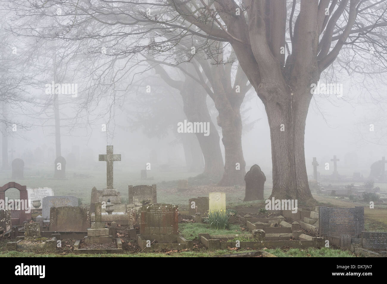 Cross Gravestone in the fog at Banbury Cemetery, Oxfordshire, England Stock Photo