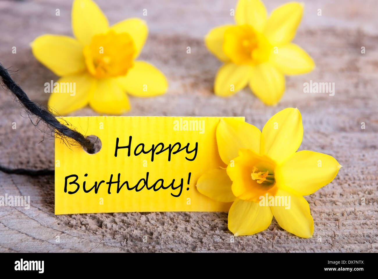 Happy birthday card with daffodils hi-res stock photography and images