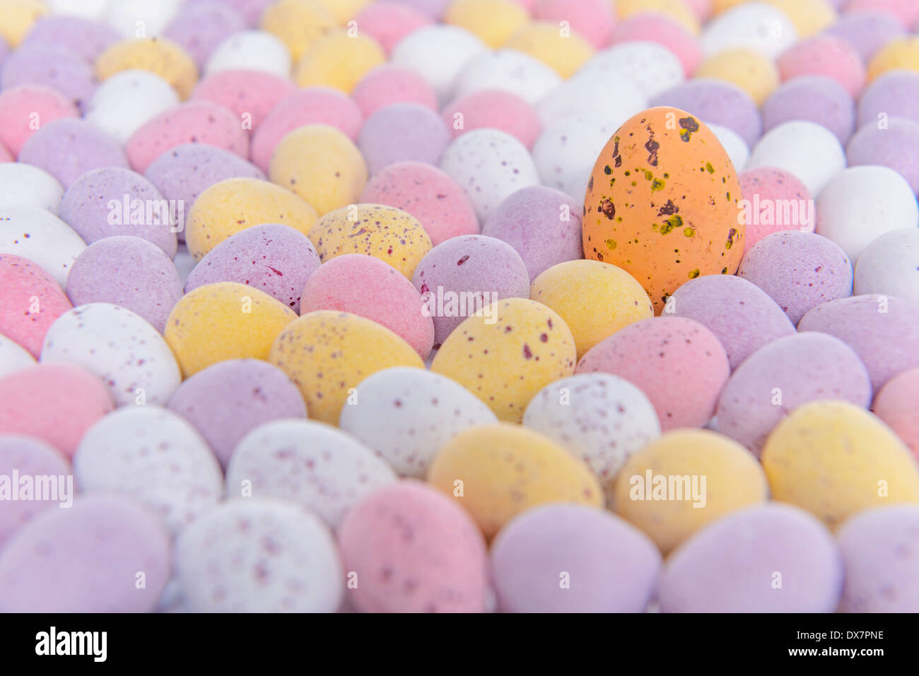 Lots of mini candy covered chocolate Easter eggs with one standing out from the crowd. Stock Photo