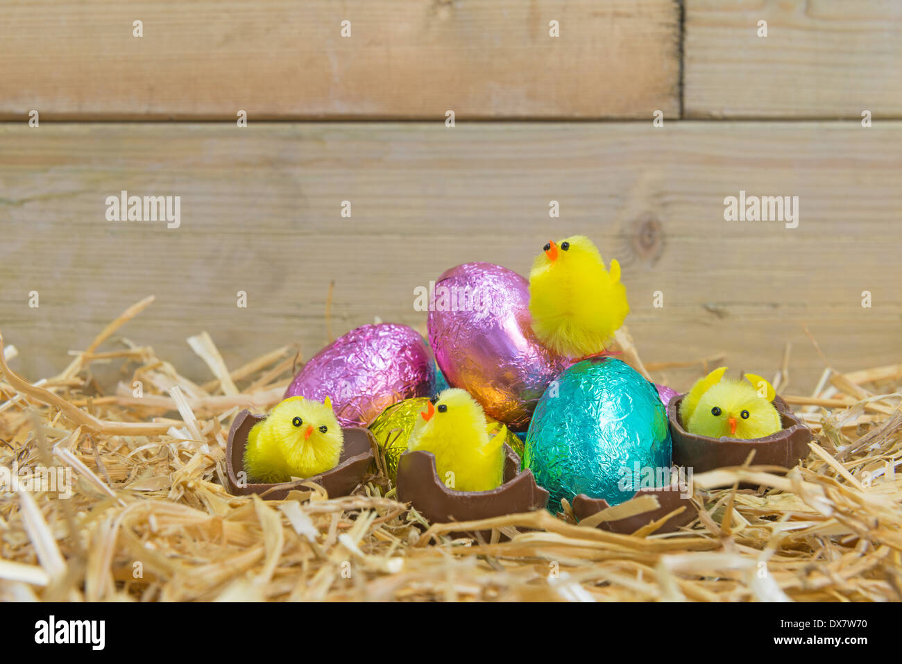 Toy Easter chicks hatching from chocolate eggs in a straw nest. Stock Photo