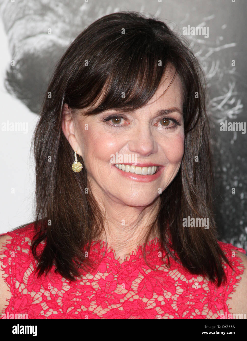 Sally Field AFI Fest - 'Lincoln' - Premiere at the Grauman's Chinese Theatre - Arrivals Los Angeles, California - 08.11.12 Feat Stock Photo