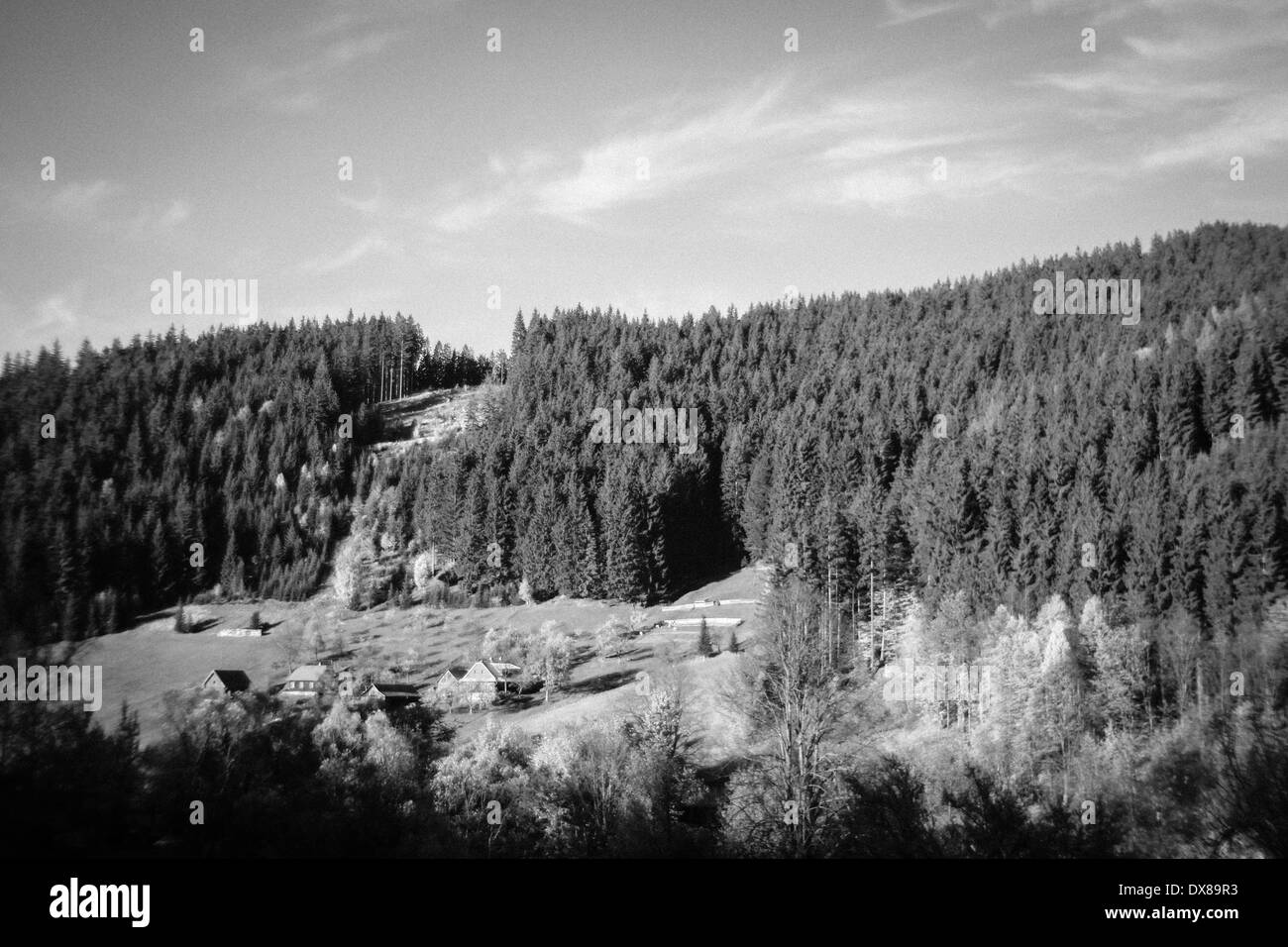 Top of the mountain in Beskydy Moravia Czech Republic, picture in black and white with the pine forest. Stock Photo